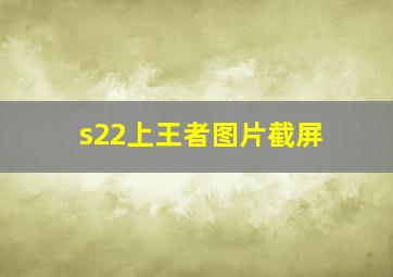 s22上王者图片截屏