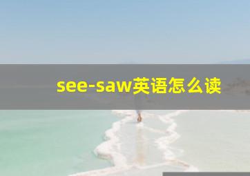 see-saw英语怎么读