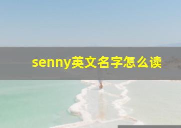 senny英文名字怎么读