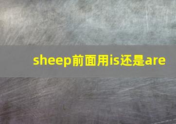 sheep前面用is还是are