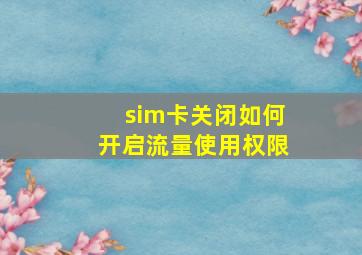 sim卡关闭如何开启流量使用权限