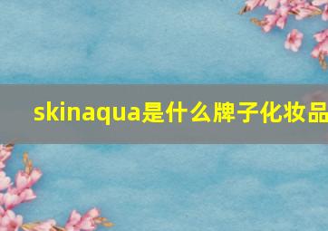 skinaqua是什么牌子化妆品