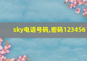 sky电话号码,密码123456