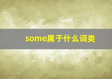 some属于什么词类