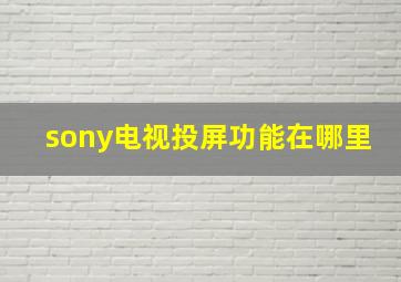 sony电视投屏功能在哪里