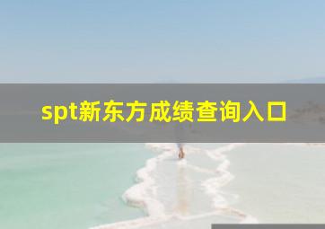 spt新东方成绩查询入口