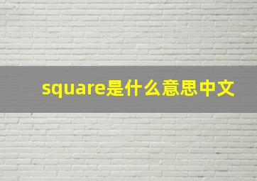 square是什么意思中文