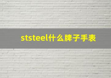 ststeel什么牌子手表