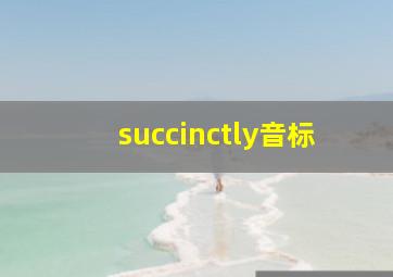 succinctly音标