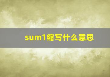 sum1缩写什么意思