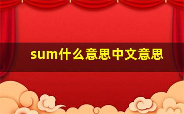 sum什么意思中文意思