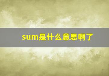 sum是什么意思啊了