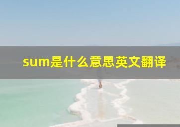 sum是什么意思英文翻译