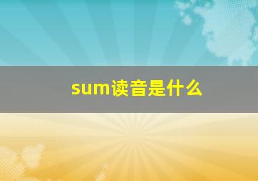 sum读音是什么