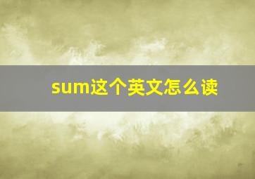 sum这个英文怎么读