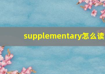 supplementary怎么读