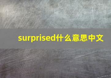 surprised什么意思中文