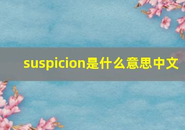 suspicion是什么意思中文