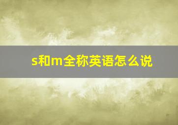 s和m全称英语怎么说