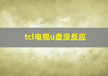 tcl电视u盘没反应