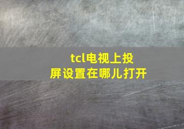 tcl电视上投屏设置在哪儿打开