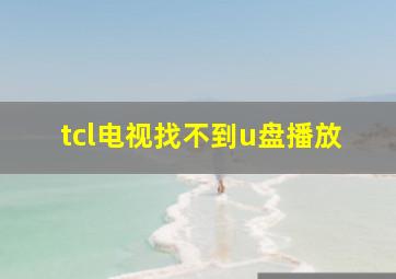 tcl电视找不到u盘播放