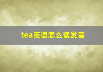 tea英语怎么读发音