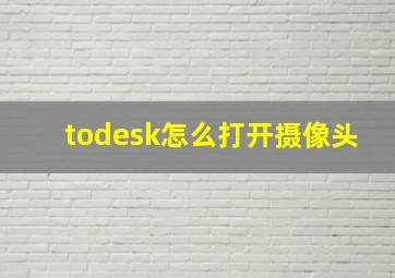 todesk怎么打开摄像头