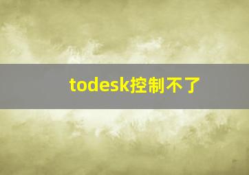 todesk控制不了