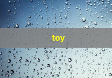 toy