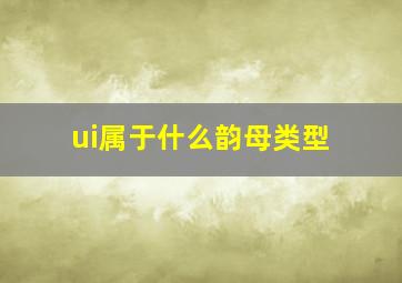 ui属于什么韵母类型