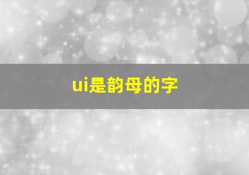 ui是韵母的字