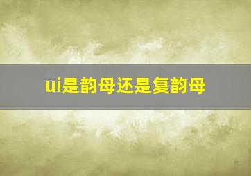 ui是韵母还是复韵母