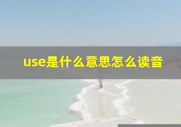 use是什么意思怎么读音