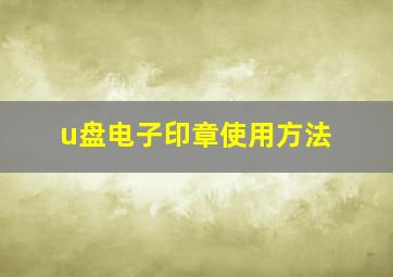 u盘电子印章使用方法