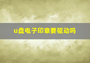 u盘电子印章要驱动吗