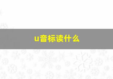 u音标读什么