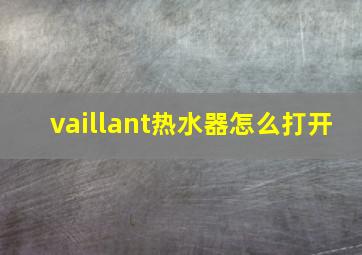 vaillant热水器怎么打开