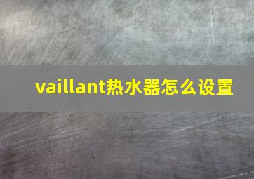 vaillant热水器怎么设置