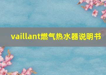 vaillant燃气热水器说明书