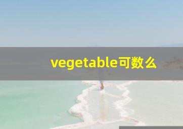 vegetable可数么