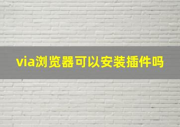 via浏览器可以安装插件吗