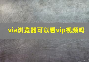 via浏览器可以看vip视频吗