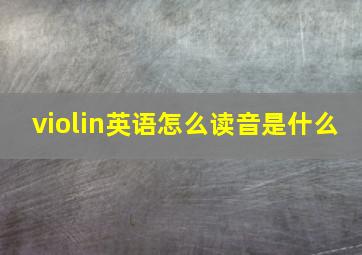 violin英语怎么读音是什么