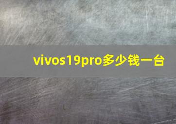 vivos19pro多少钱一台