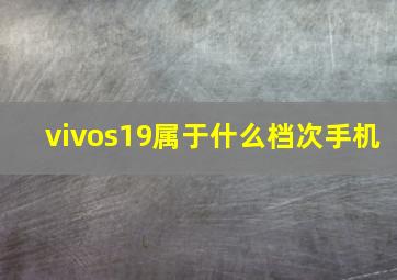 vivos19属于什么档次手机