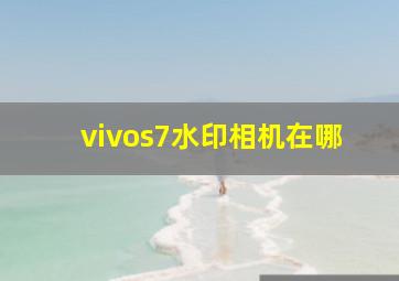 vivos7水印相机在哪