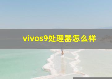 vivos9处理器怎么样