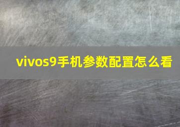 vivos9手机参数配置怎么看