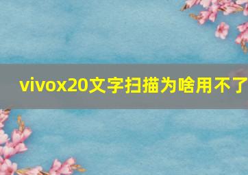 vivox20文字扫描为啥用不了